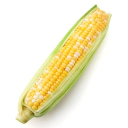 Fresh Sweet Corn on the Cob (1 each) Image